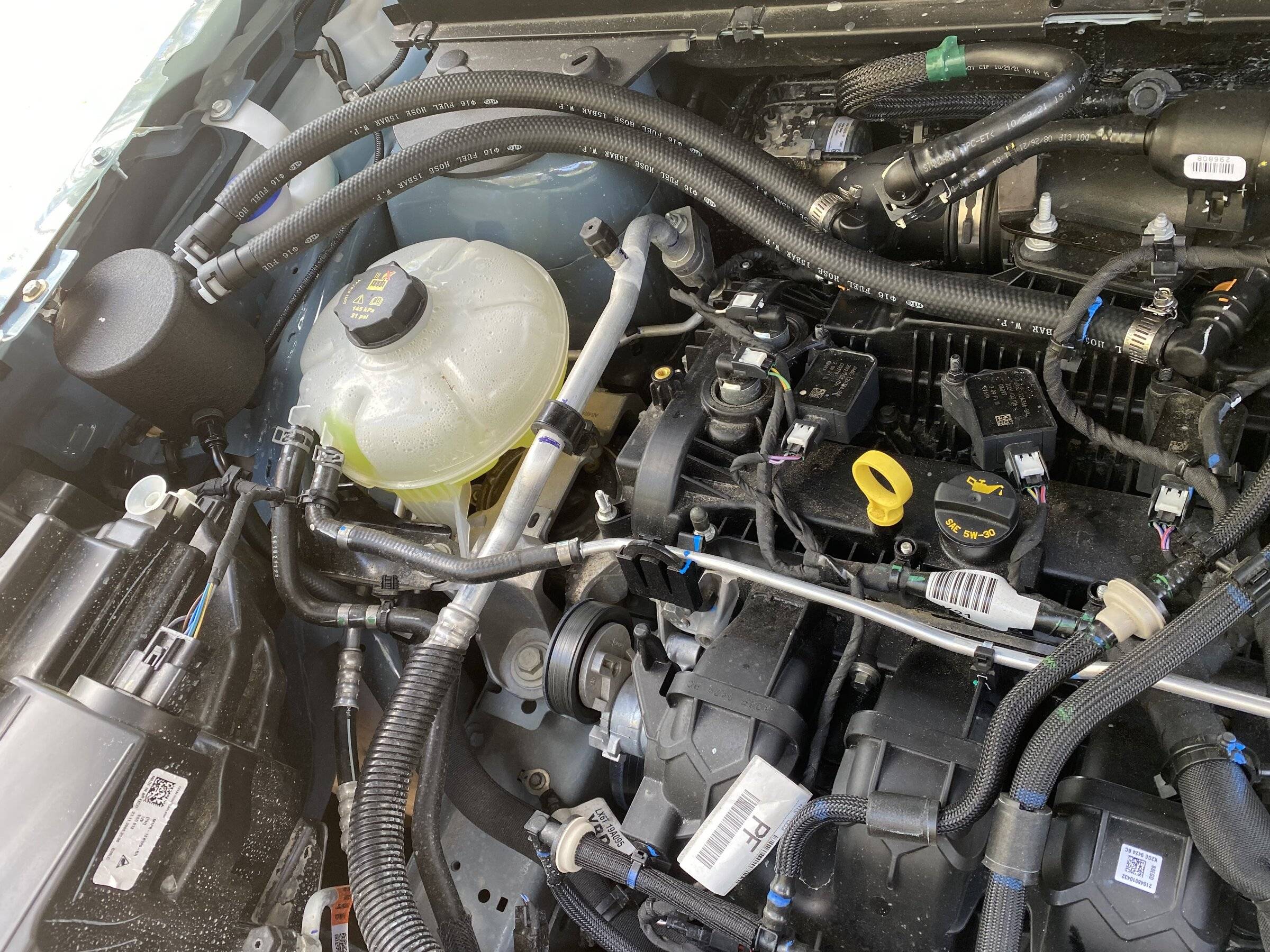 Ford Bronco Sport Buschurs Maverick 2.0 catch can 952E765F-92EB-4313-8B74-C806B1DF8B1E