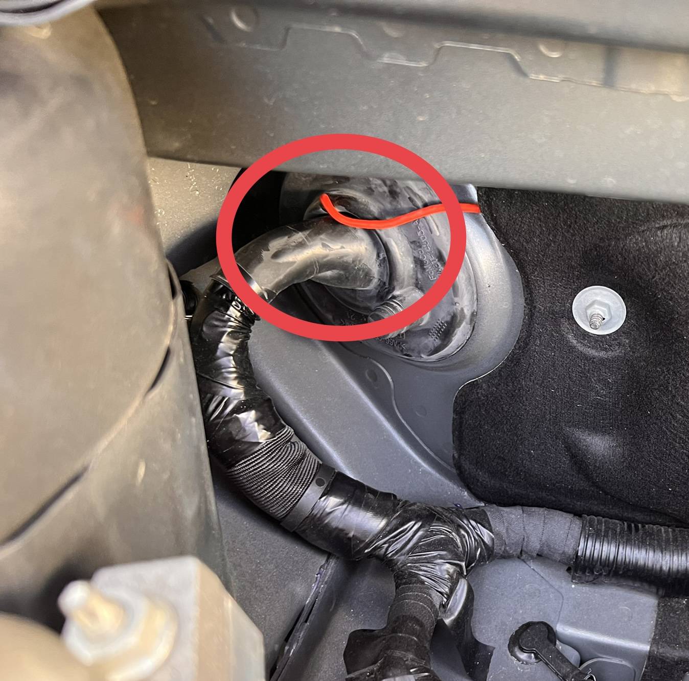 Ford Bronco Sport Raptor grill accent lights 6EA8FBA1-6445-497A-836F-E7C5FA49E28A