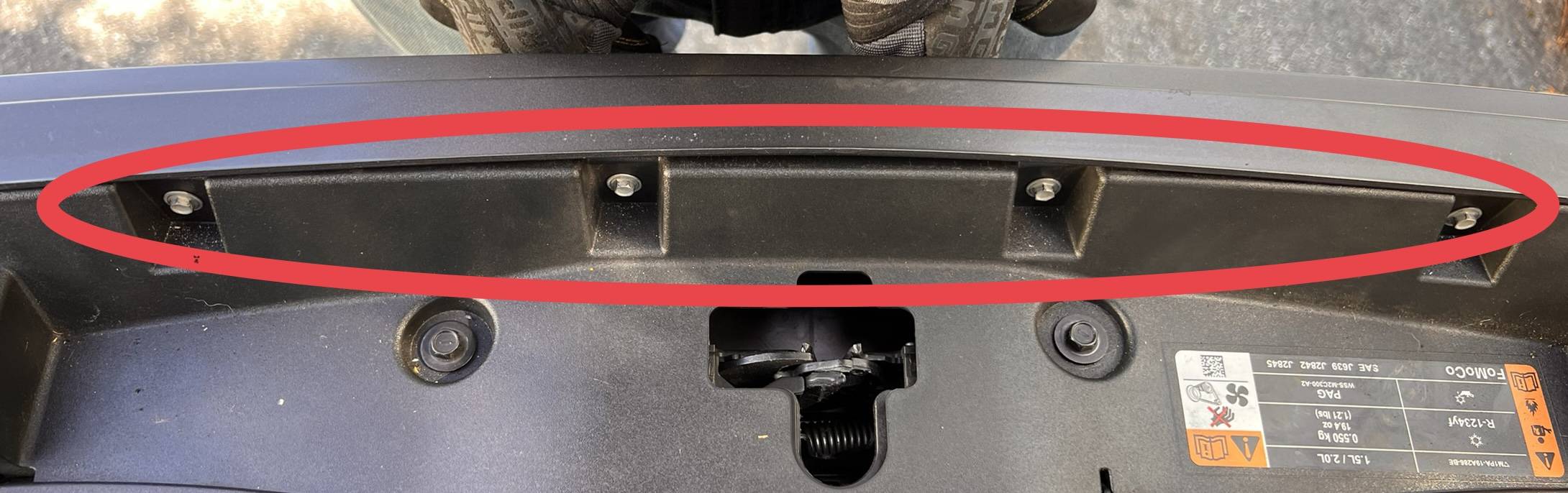 Ford Bronco Sport Raptor grill accent lights 10A479A5-6E69-4FDD-AA73-77F4F0B87FD4