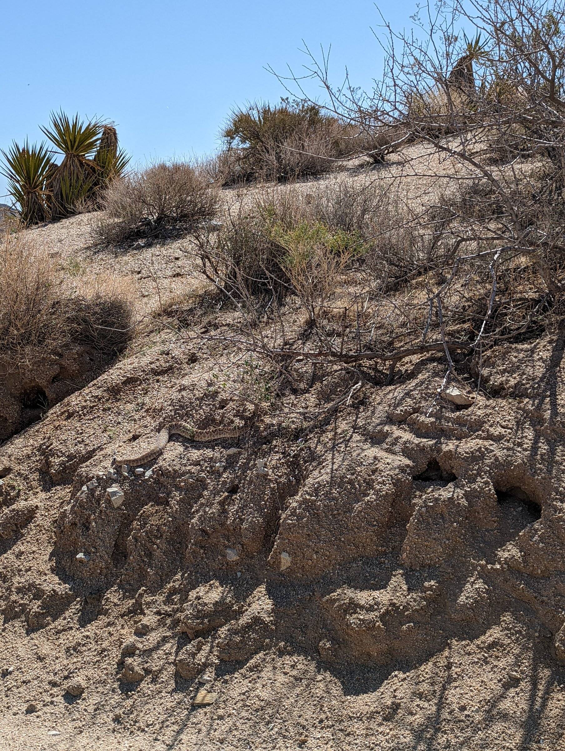 Ford Bronco Sport What did you do TO your Bronco Sport today? PXL_20220402_172445390