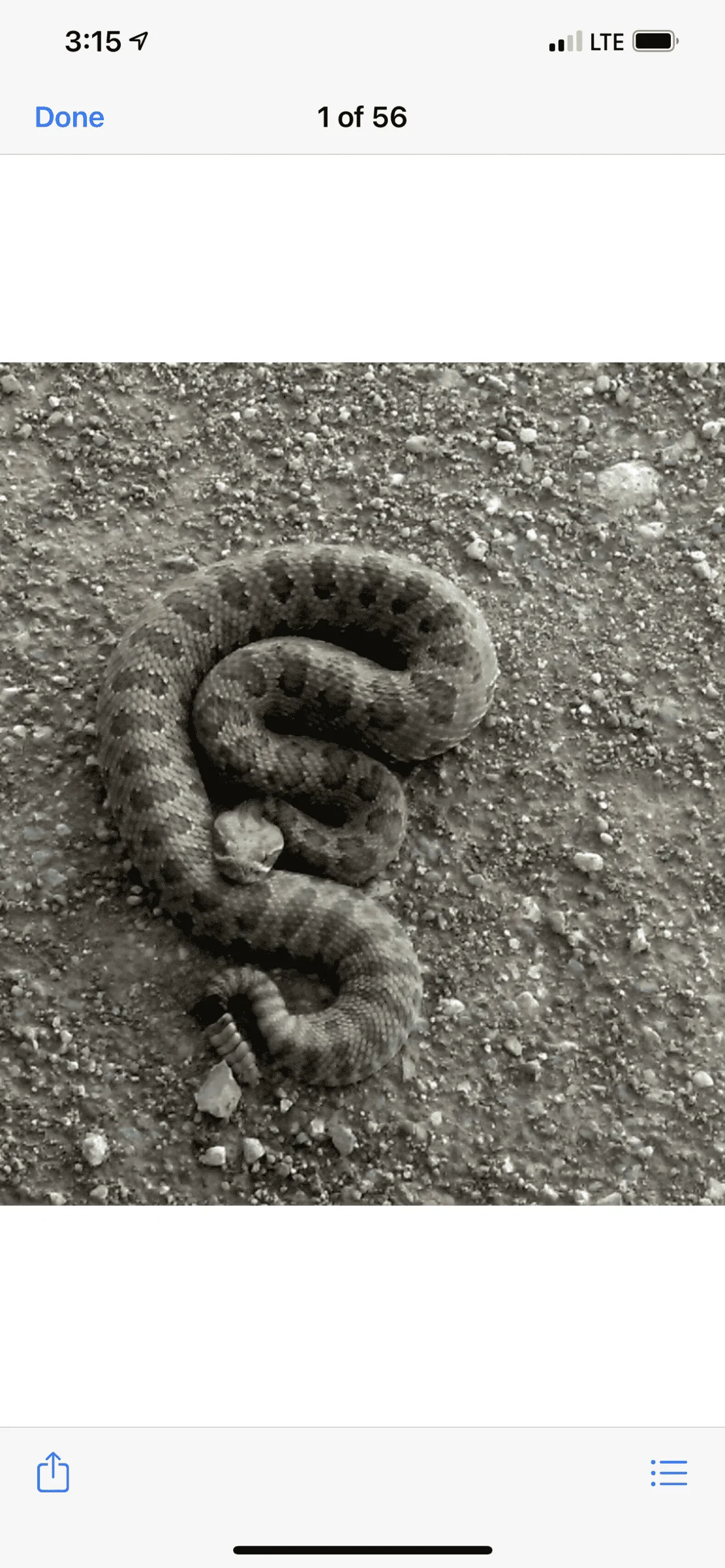 Ford Bronco Sport What did you do TO your Bronco Sport today? F73C3FB9-DB50-4867-805D-301C7D83D3B4