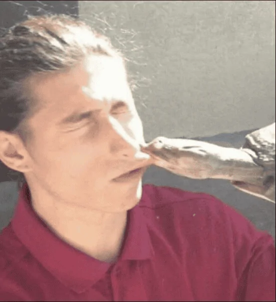 Ford Bronco Sport Bronco Sport Oil Separator Recall 1.5 L engine 1649031949637