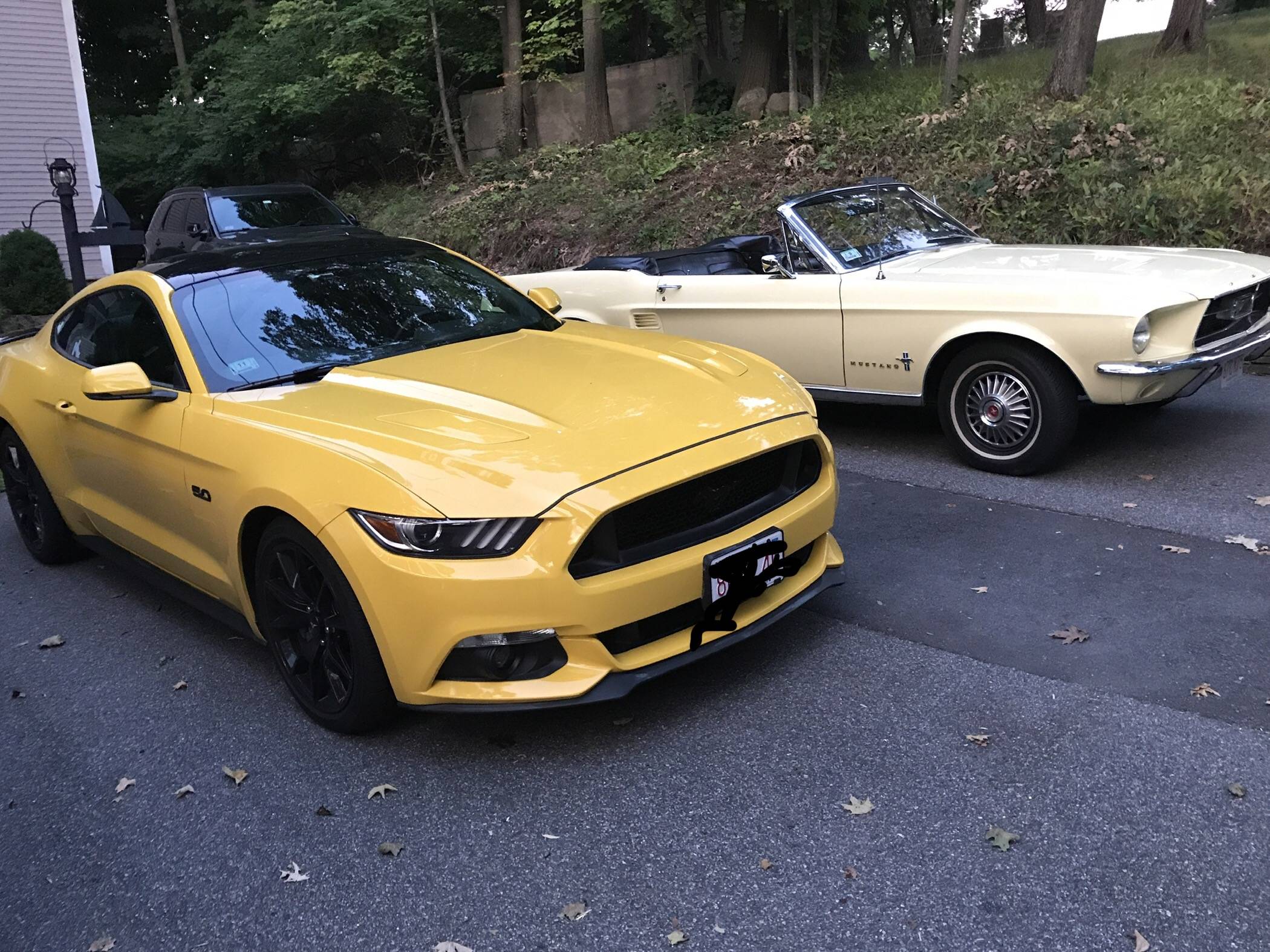 Ford Bronco Sport What's your other ride(s)? BF097F26-53F3-4858-9C00-FC126F2B5672