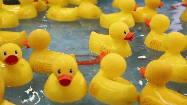 Ford Bronco Sport Bronco Sport Accessories - Owleys 1650234830686