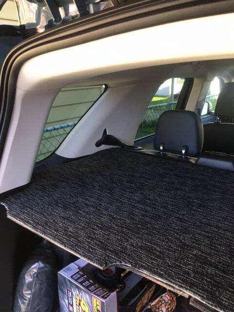 Ford Bronco Sport Removeable Cargo Cover in 21 First Edition bronco6.JPG