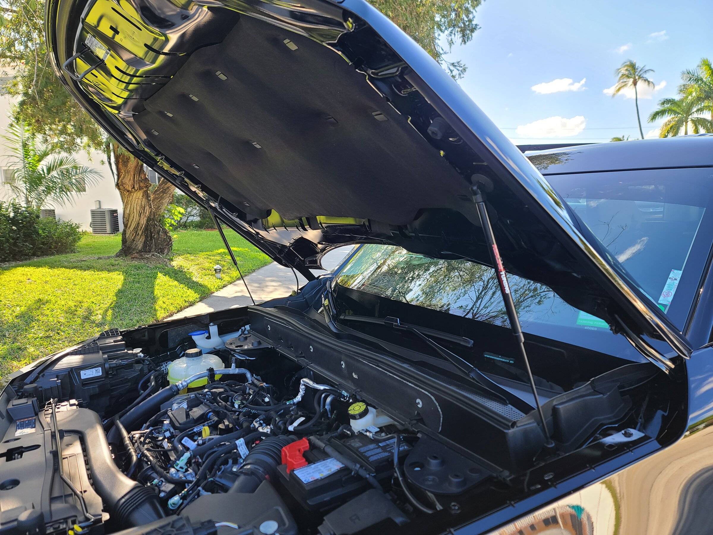 Ford Bronco Sport Official SHADOW BLACK Bronco Sport Thread 20220304_154459