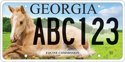 Ford Bronco Sport Anyone put a custom plate on there BS ponyplat