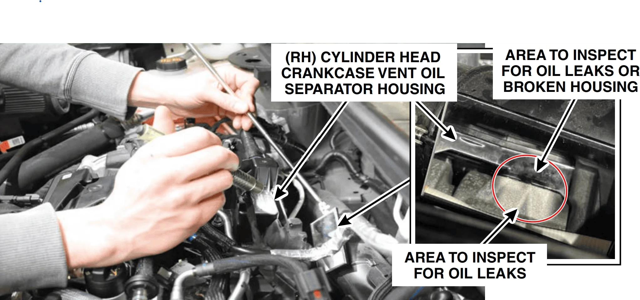 Ford Bronco Sport RECALL on oil separator 1651263520040