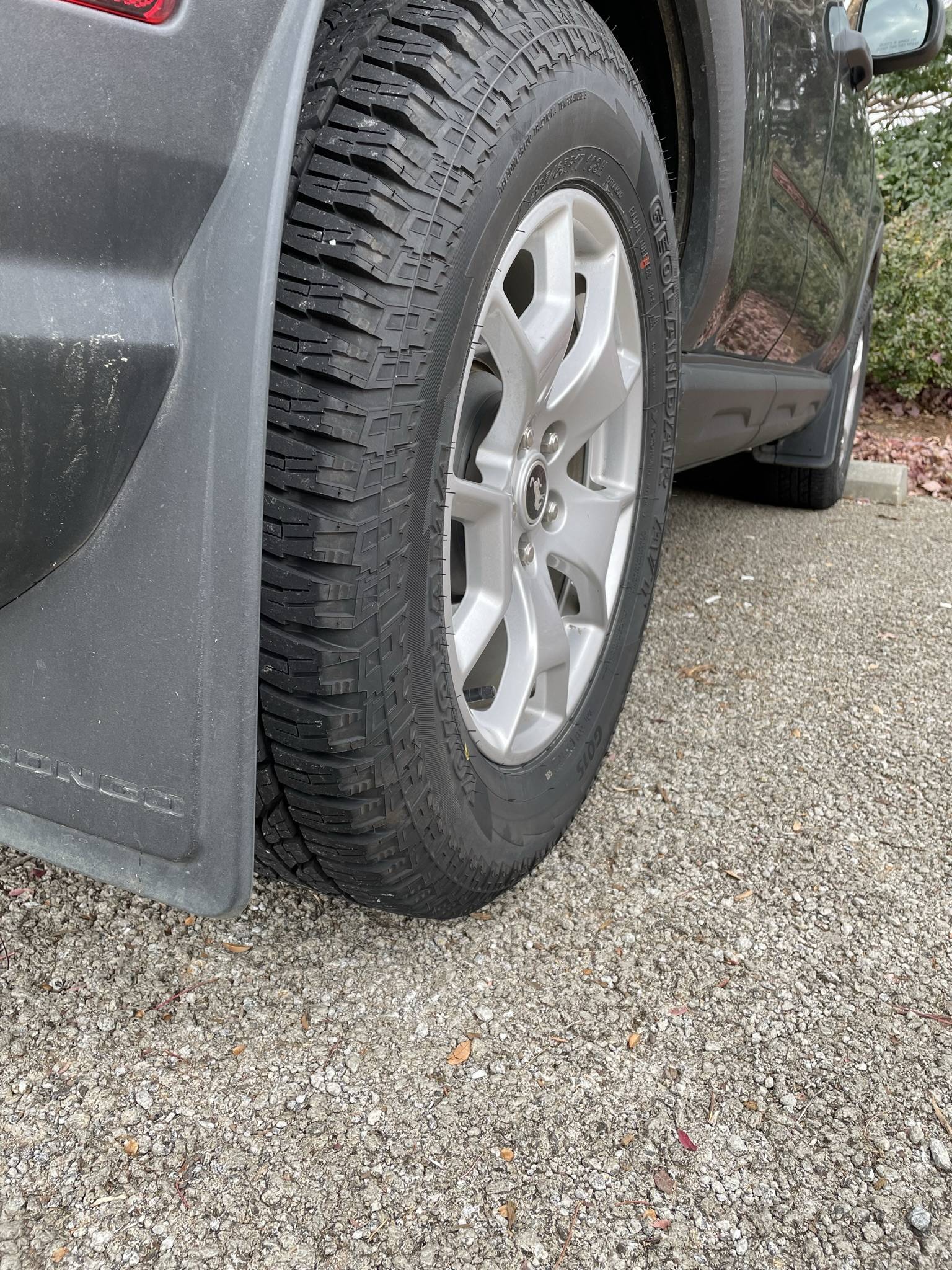 Ford Bronco Sport OEM Mudflaps. Happy with them? 9F1BF3AA-A5D0-4097-884D-AFDBBC2C1E98