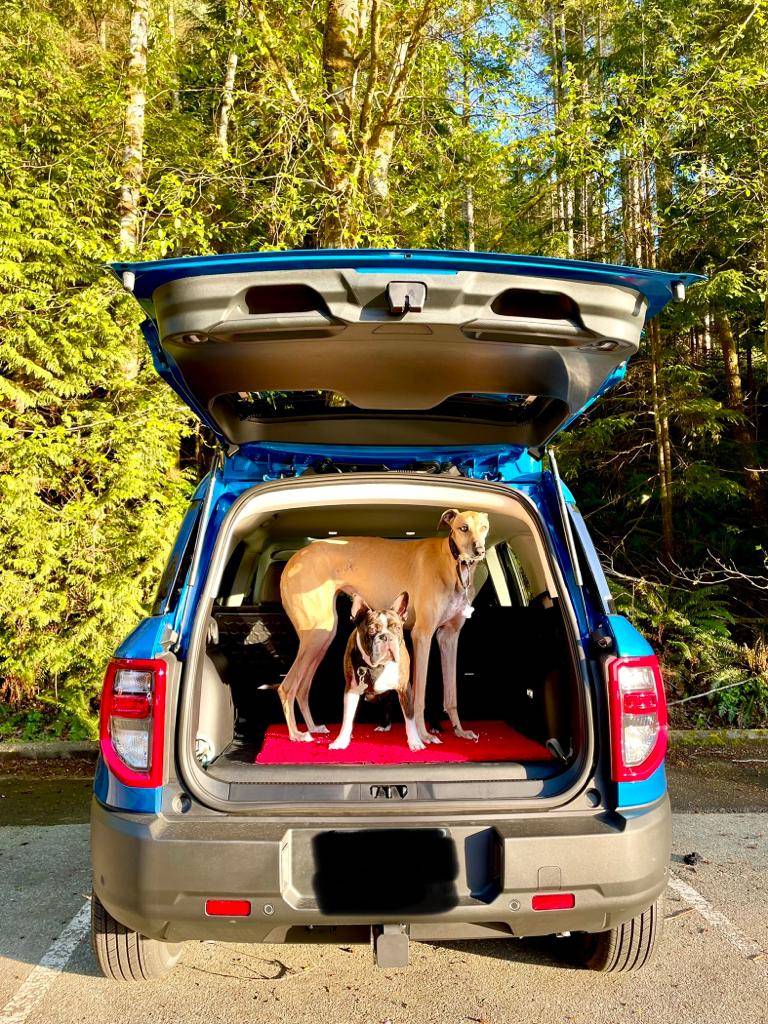 Ford Bronco Sport BroncoSport Dogs IMG-20220430-WA0007