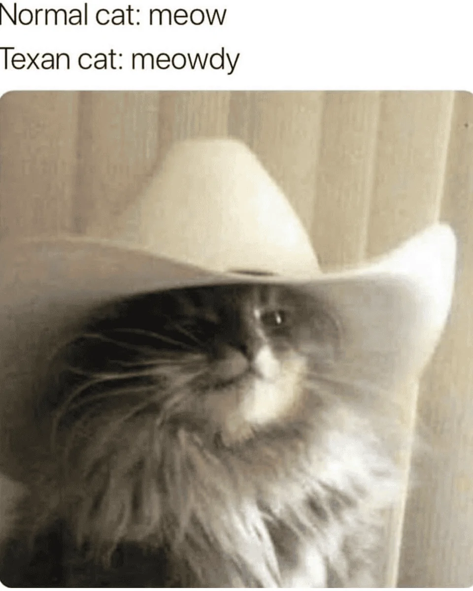 Ford Bronco Sport New Bronco Sport Owner 1651534795594