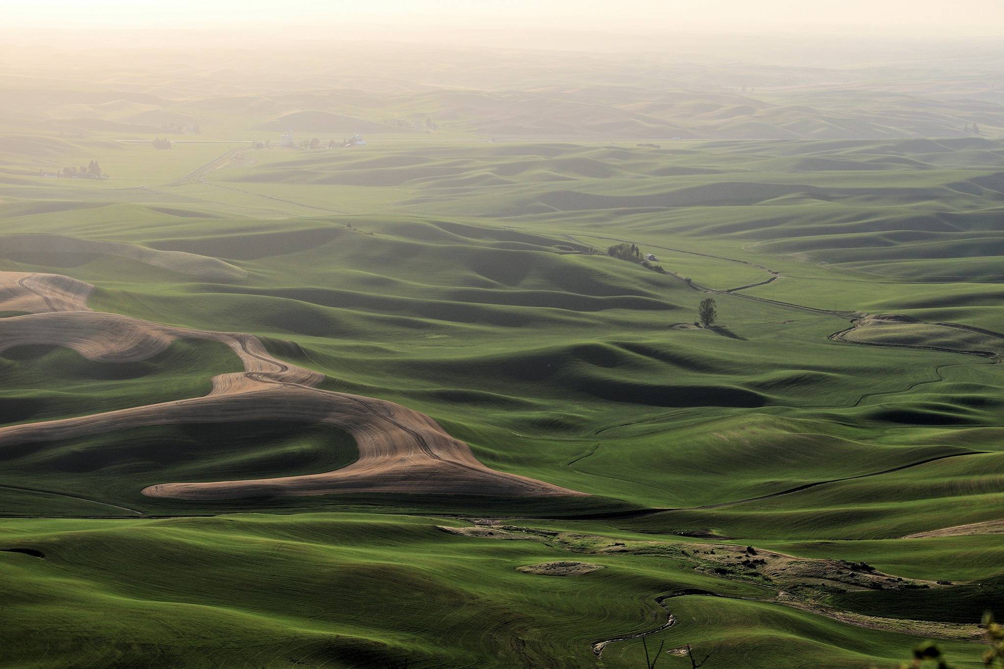 Ford Bronco Sport Bronco at the cemetery. 186857242_10159228079272512_8211828256347860085_n
