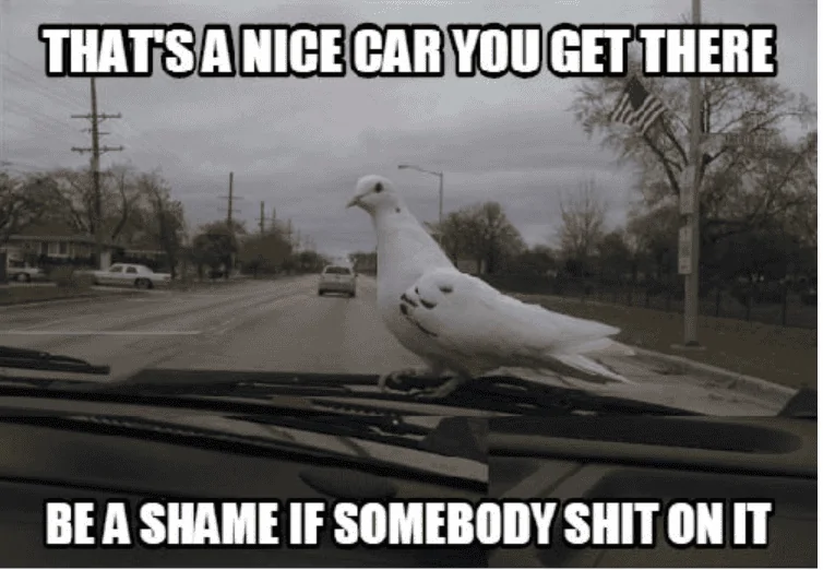 Ford Bronco Sport Alerts 1651885039168