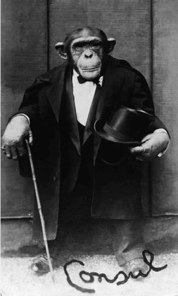 Ford Bronco Sport Cluster F*** (flaw) 1652380643231