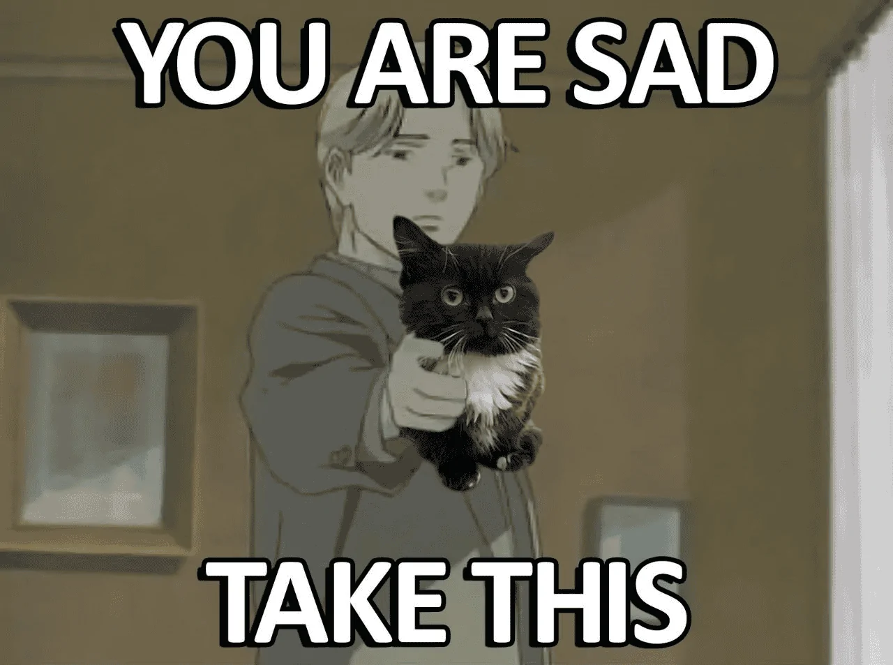 Ford Bronco Sport Virgin Islands Police using Bronco Sports 1652458112069