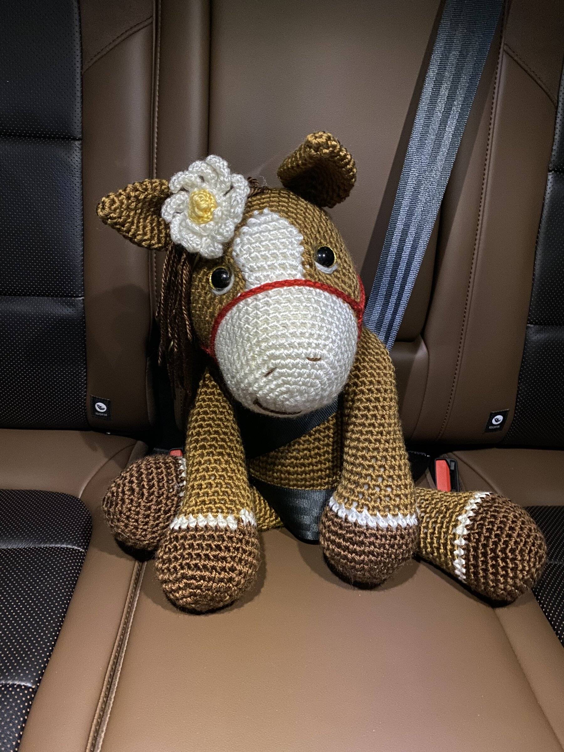 Ford Bronco Sport What did you do TO your Bronco Sport today? 3D23C0CE-970B-4A0E-B955-D33999941E57