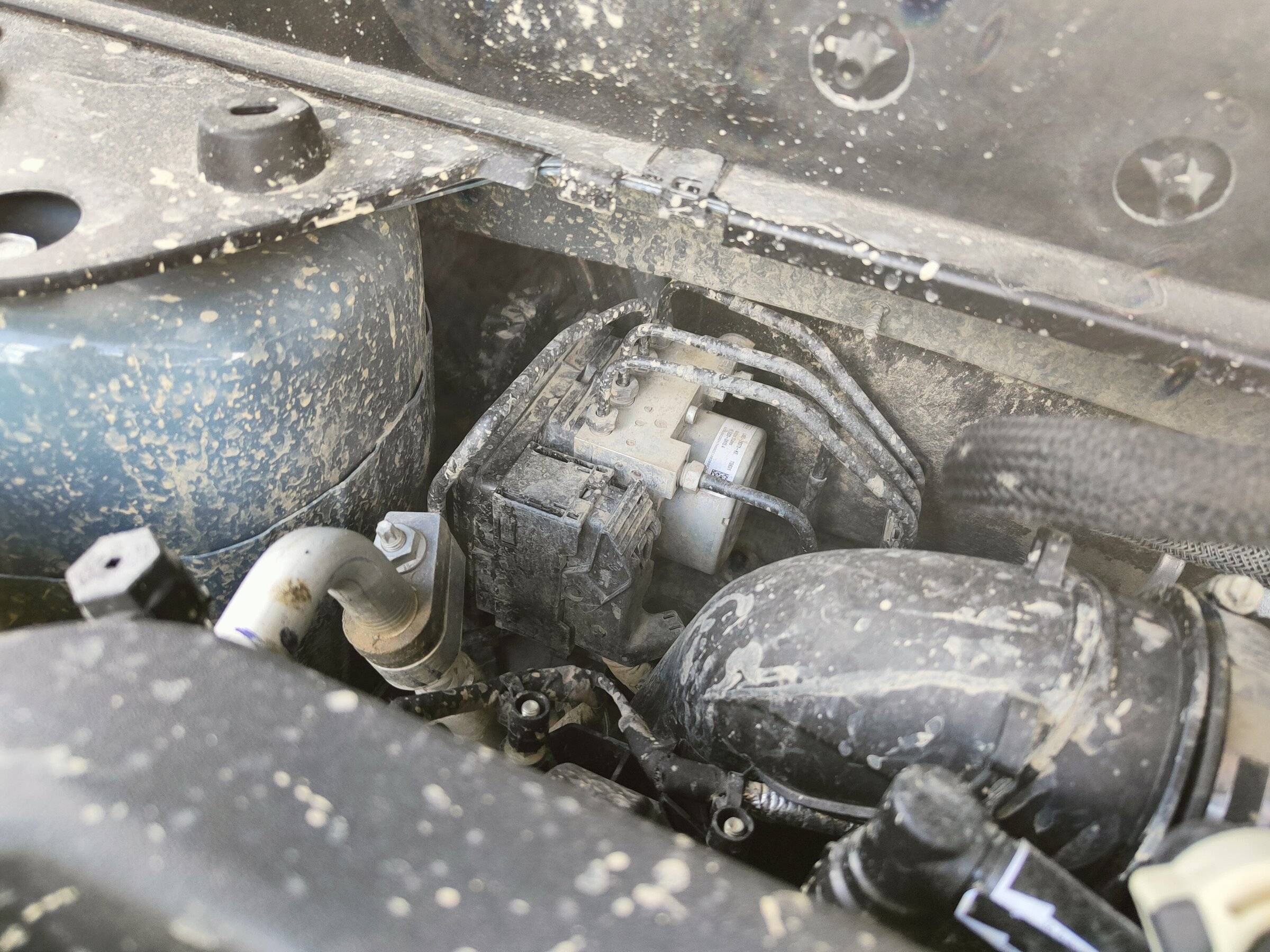 Ford Bronco Sport My BS turned 1 today! IMG20220515153058