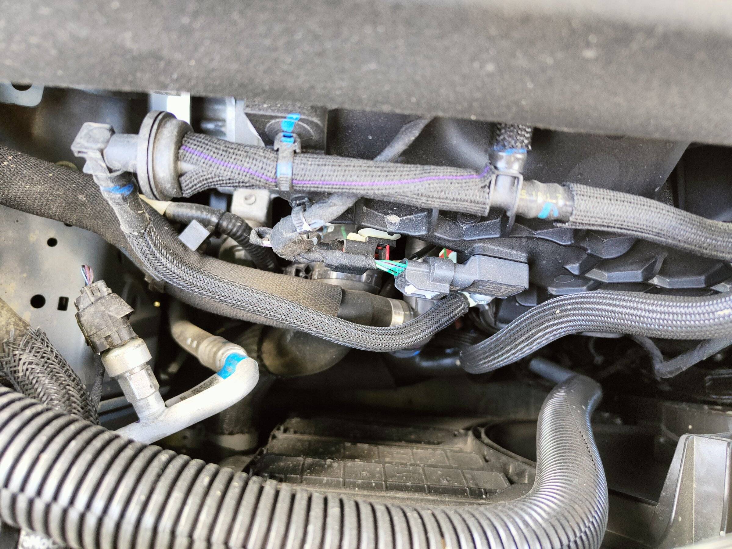 Ford Bronco Sport My BS turned 1 today! IMG20220515153005