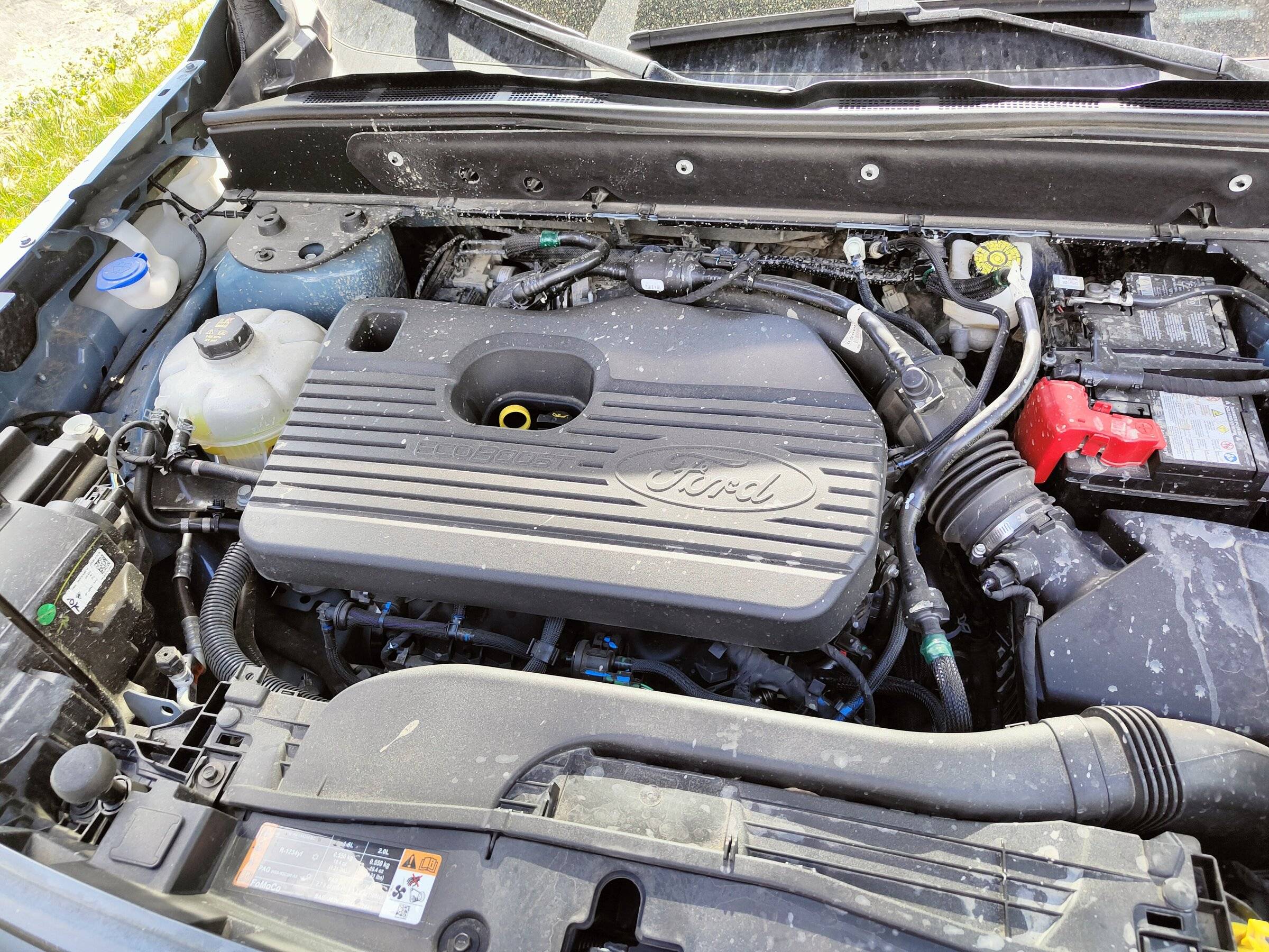 Ford Bronco Sport My BS turned 1 today! IMG20220515152959