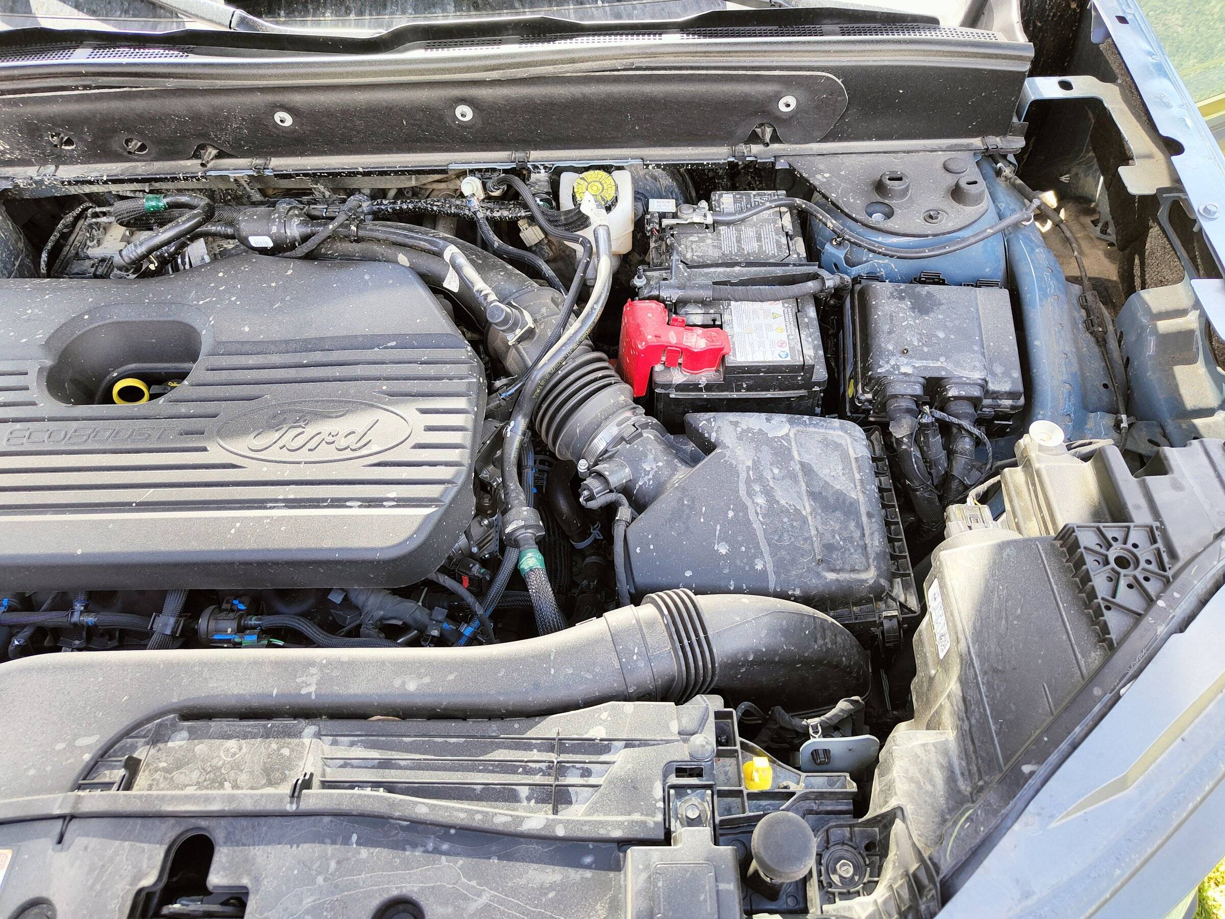 Ford Bronco Sport My BS turned 1 today! IMG20220515152957