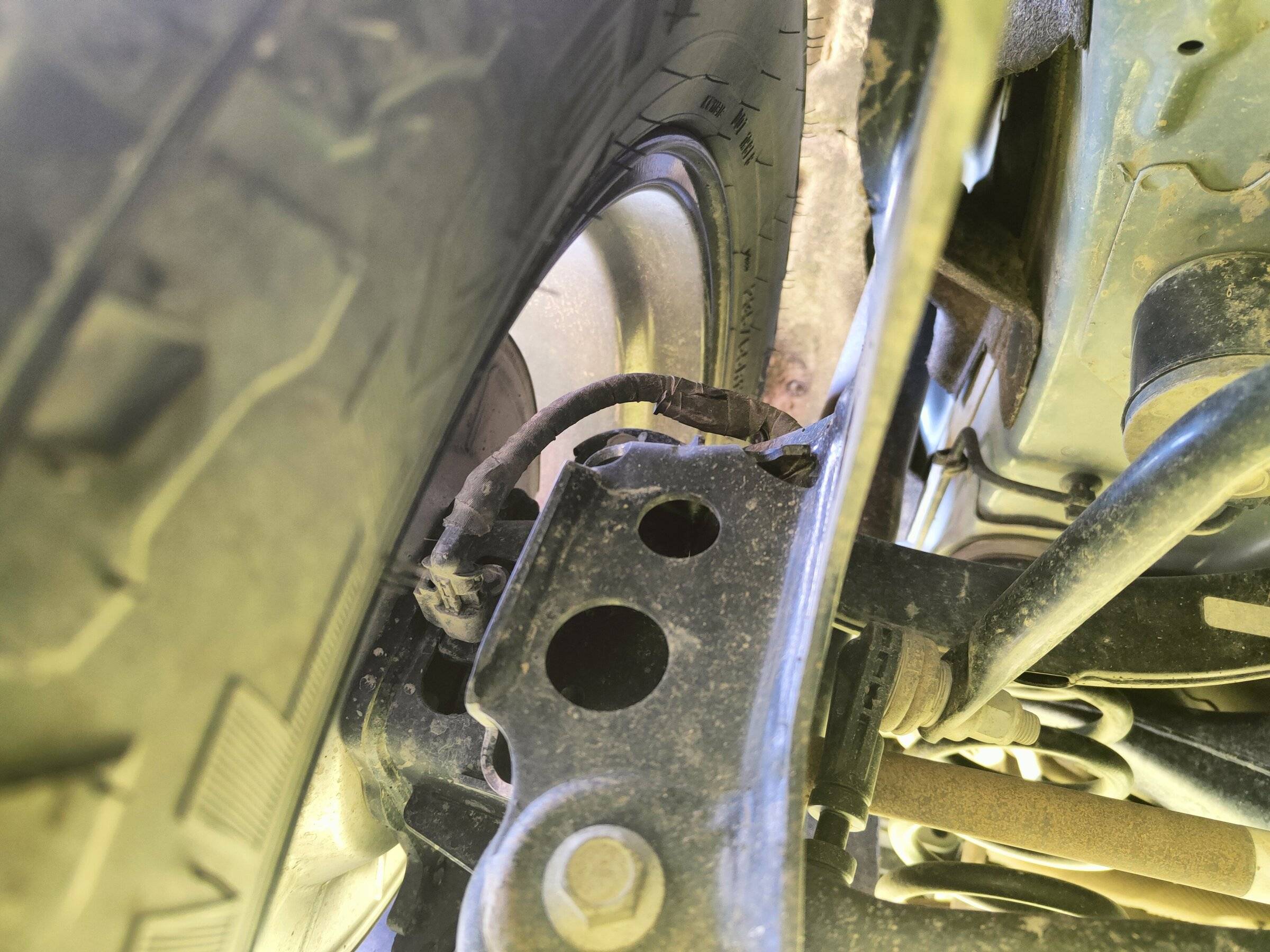 Ford Bronco Sport My BS turned 1 today! IMG20220515152645