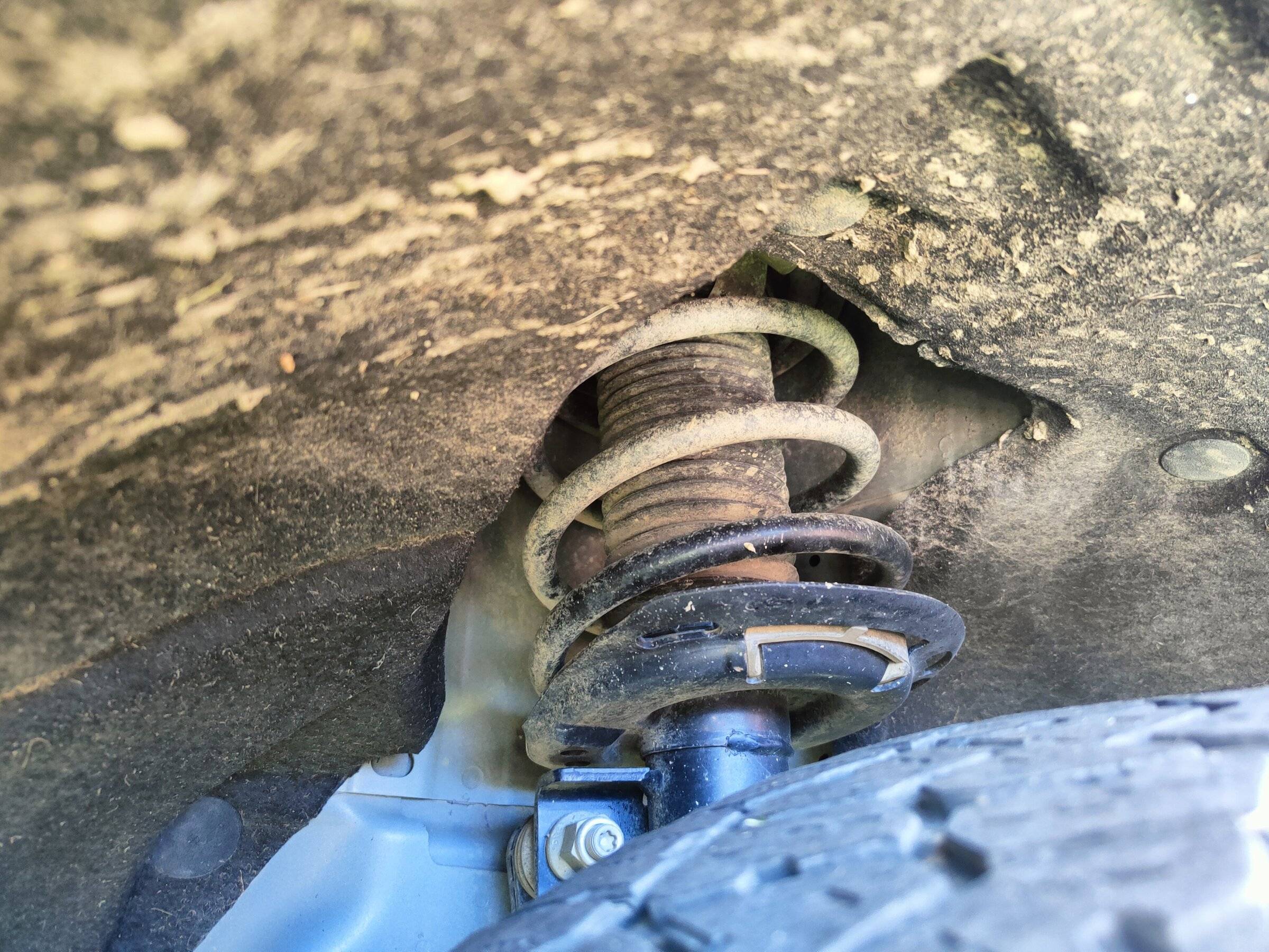 Ford Bronco Sport My BS turned 1 today! IMG20220515152510