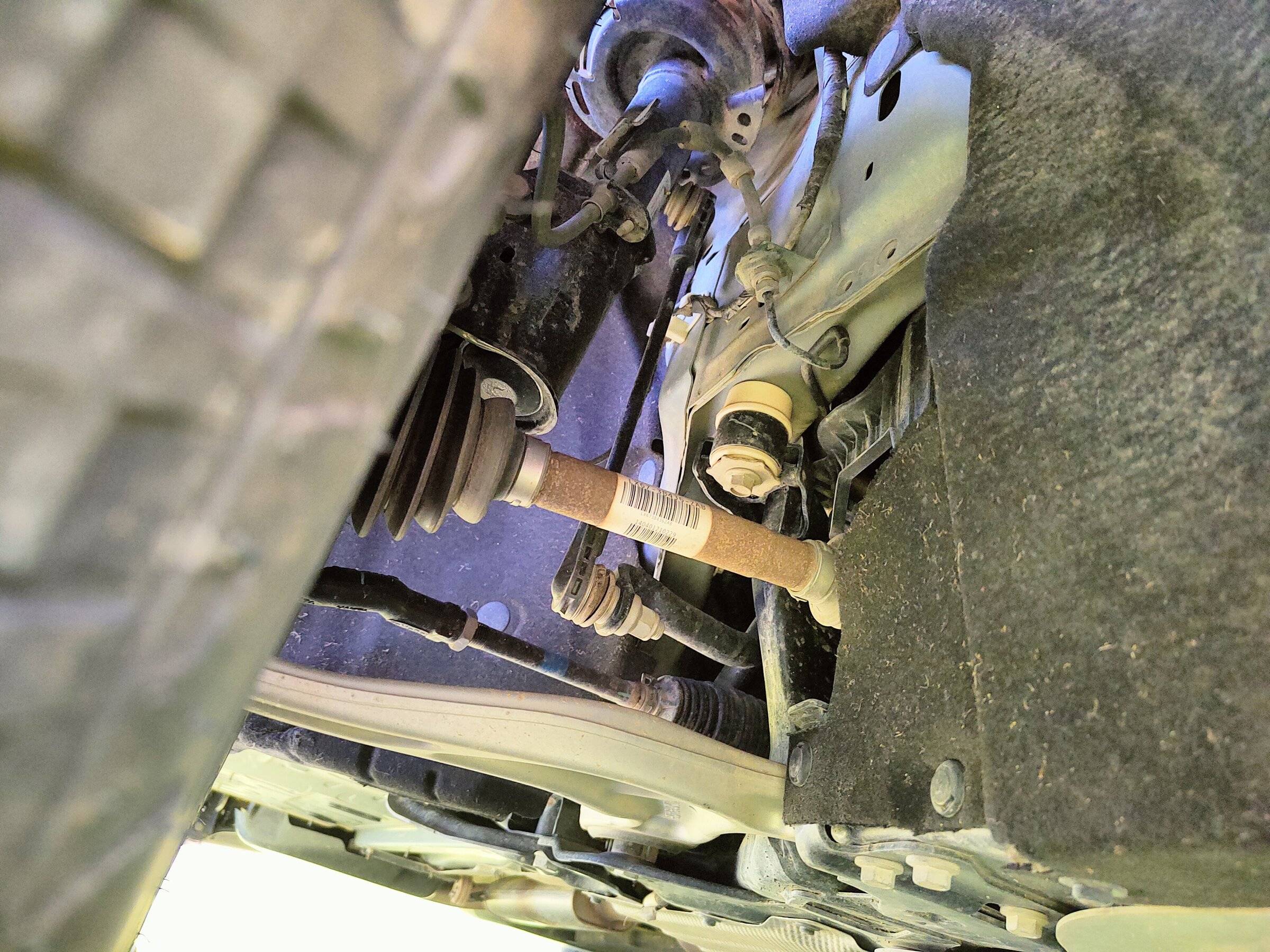 Ford Bronco Sport My BS turned 1 today! IMG20220515152427