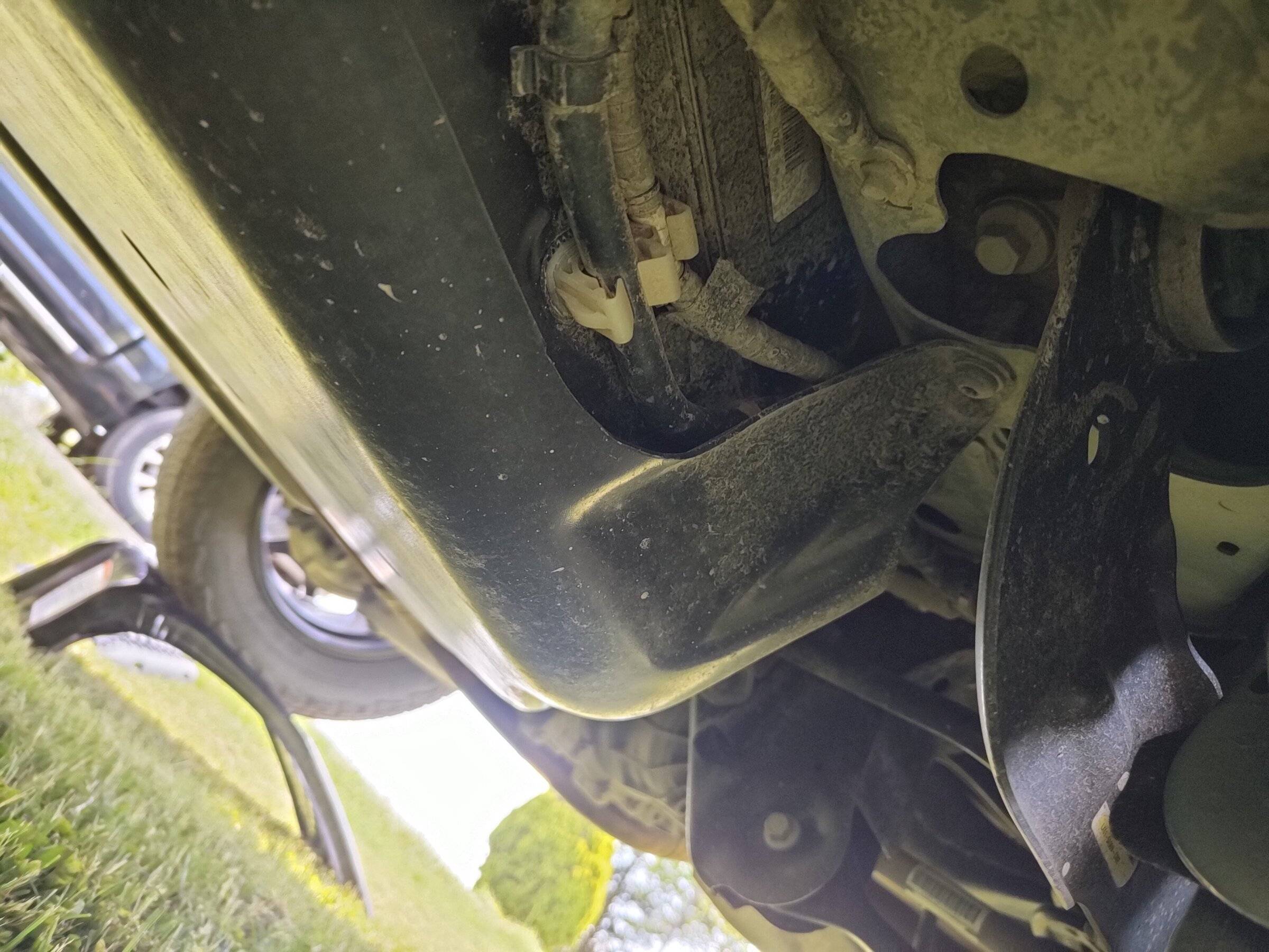 Ford Bronco Sport My BS turned 1 today! IMG20220515152356