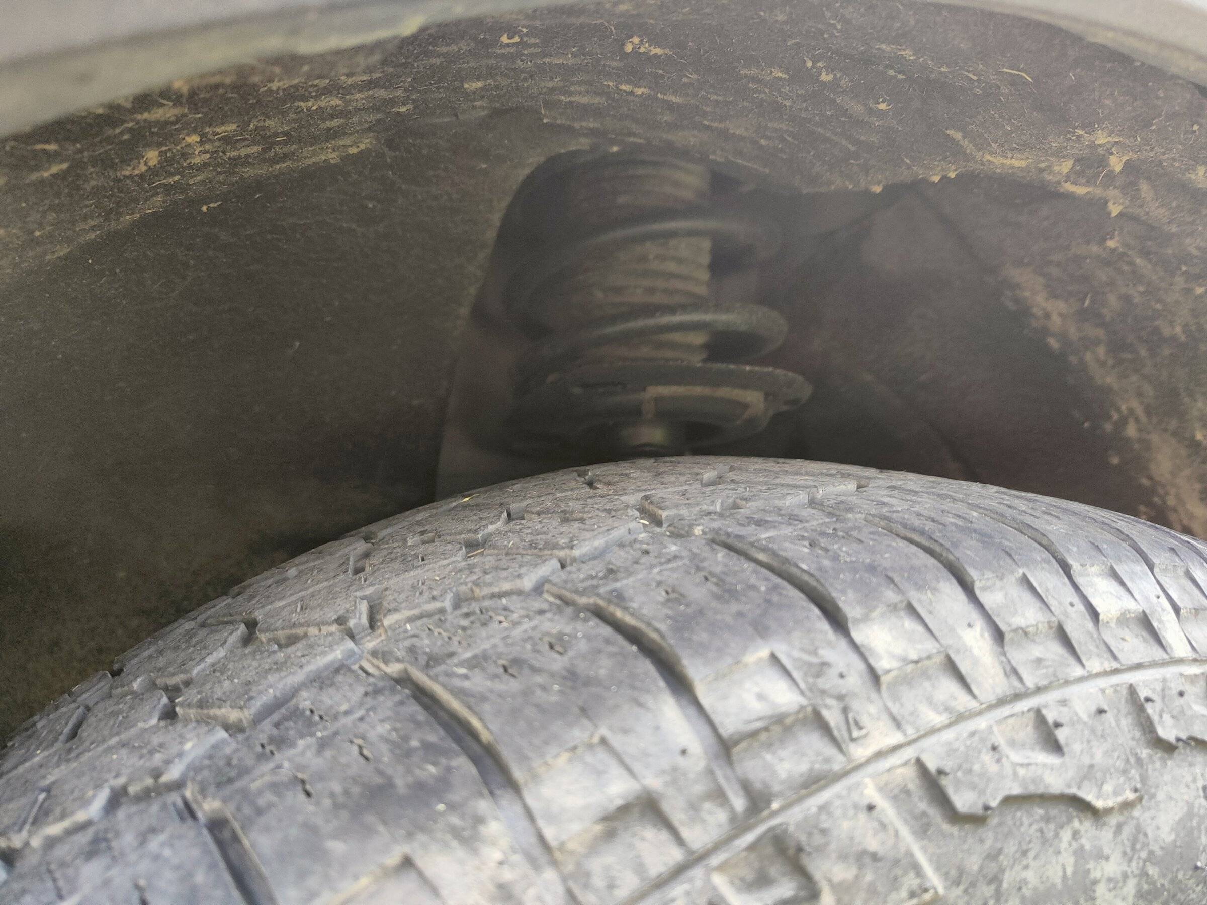 Ford Bronco Sport My BS turned 1 today! IMG20220515152312