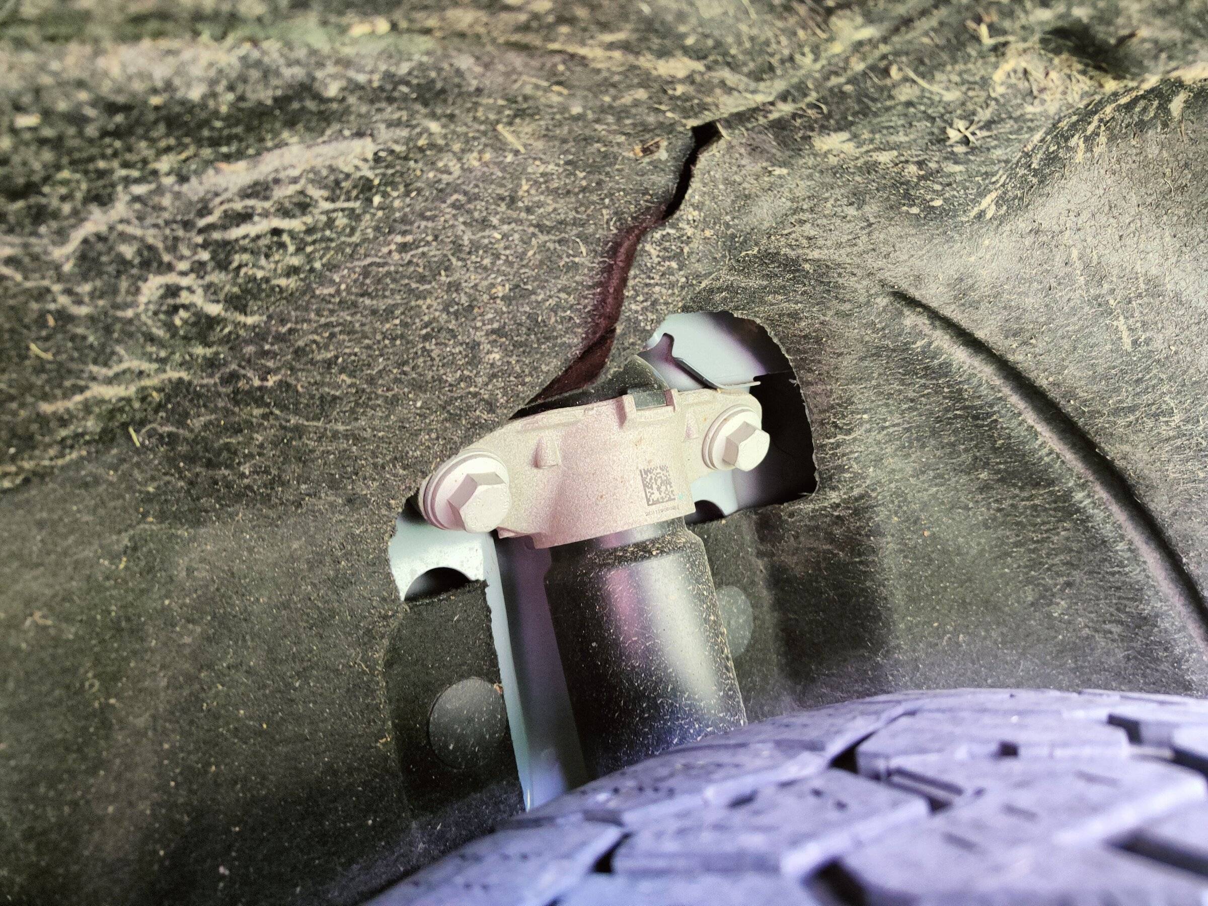 Ford Bronco Sport My BS turned 1 today! IMG20220515152350