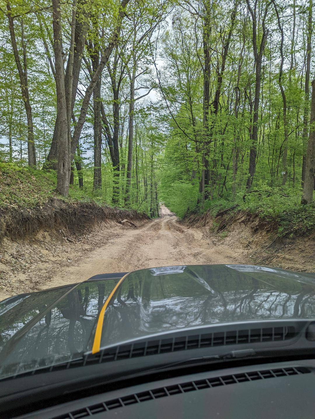 Ford Bronco Sport Added a few new upgrades... hood scoop, fender flares & more Bronco2