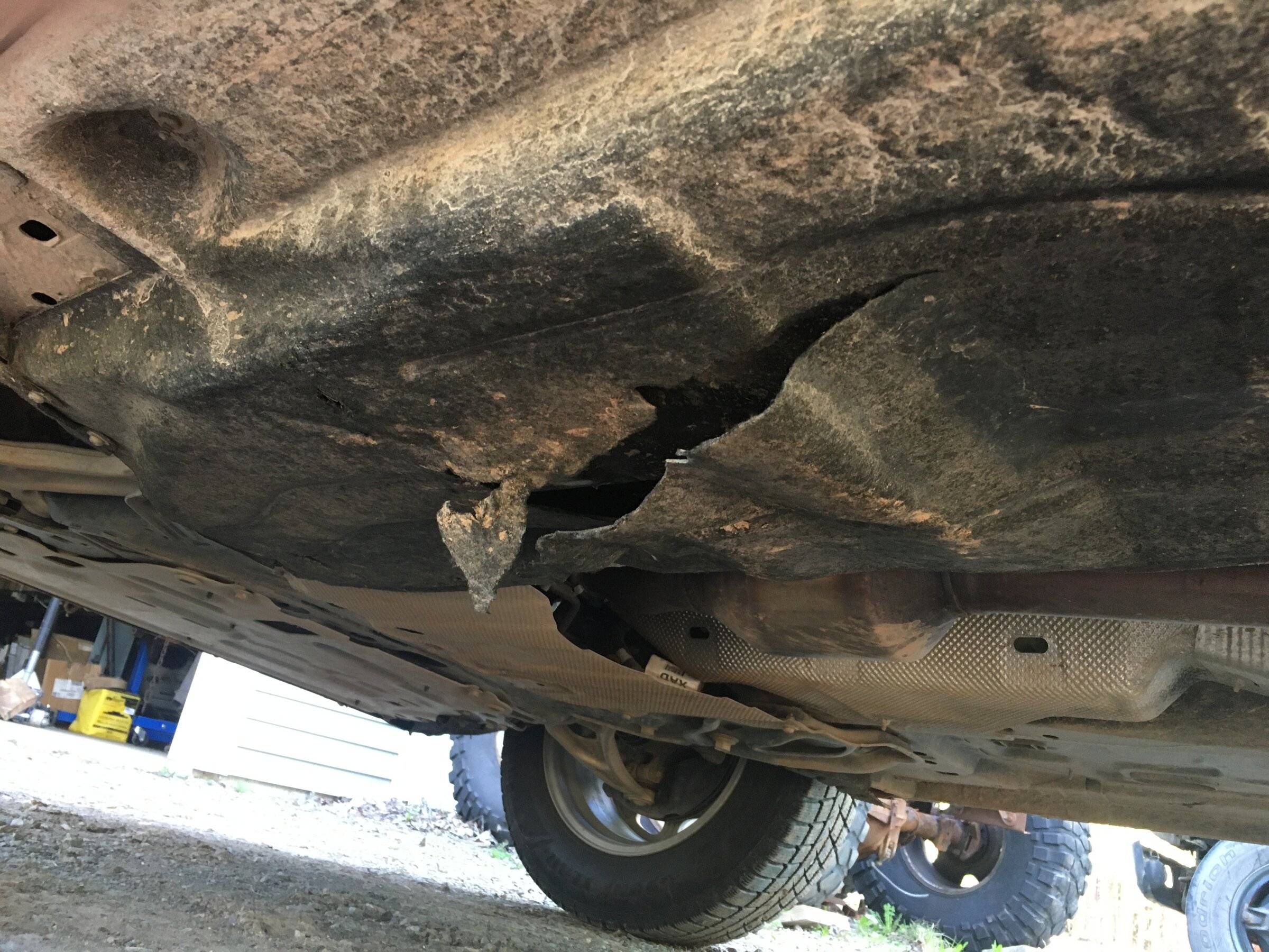 Ford Bronco Sport What did you do TO your Bronco Sport today? F7C3A61C-3AD1-4832-82C1-F259D932E26E