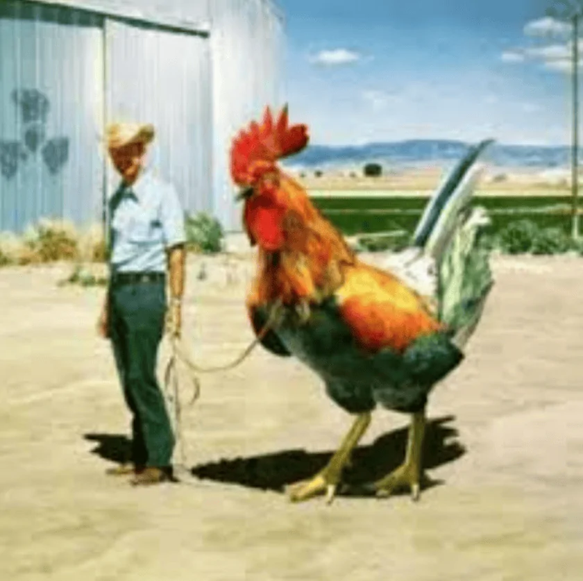 Ford Bronco Sport Side gig? 1652964482763