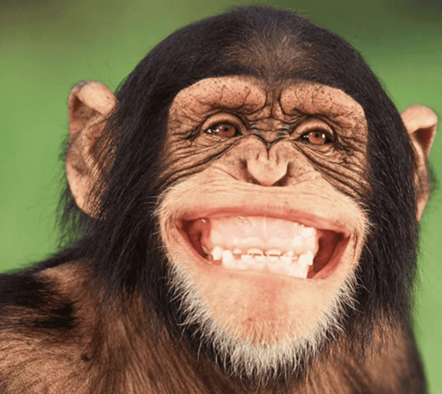 Ford Bronco Sport What did you do TO your Bronco Sport today? 1653185279185