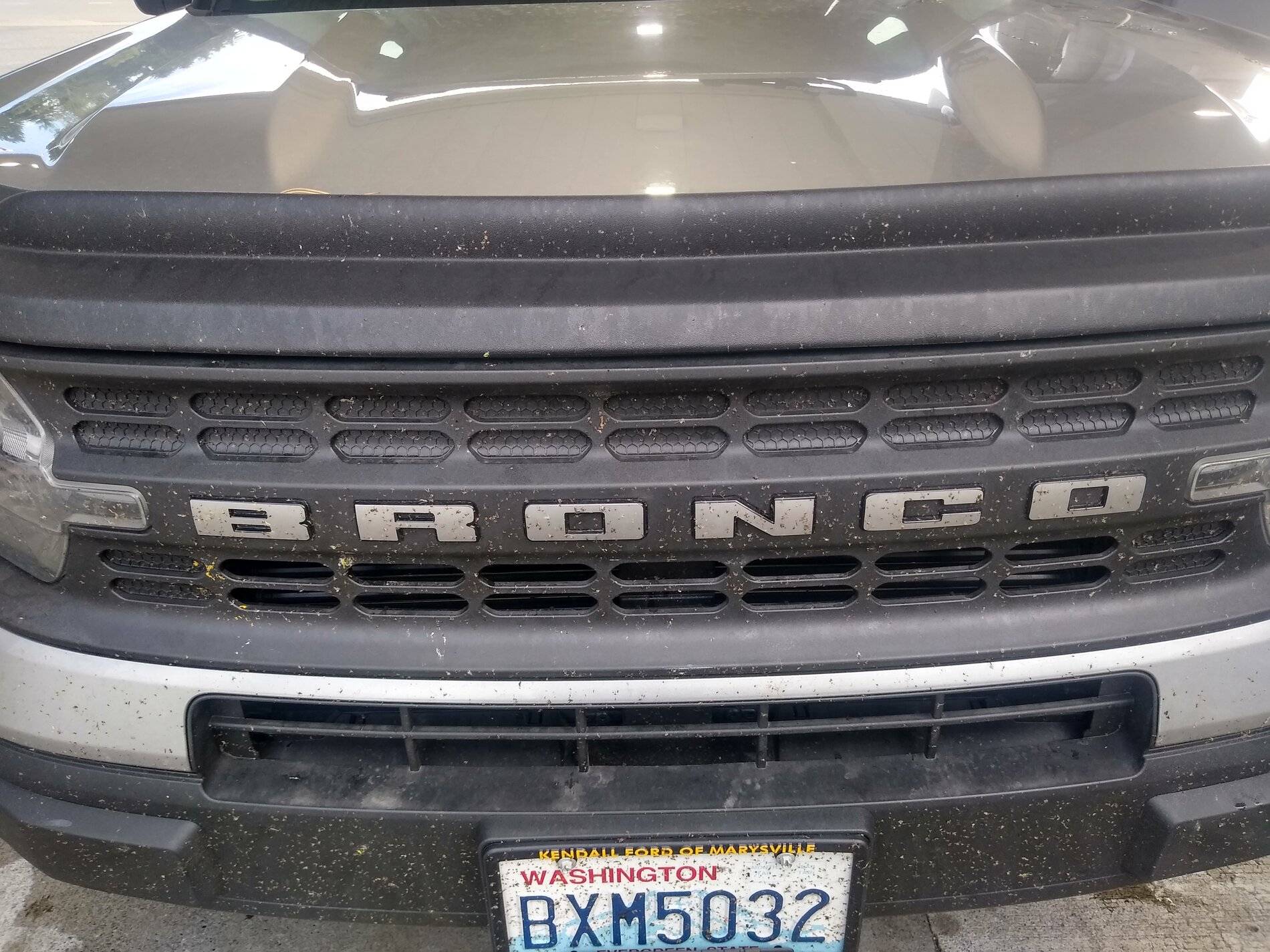Ford Bronco Sport Lots of bugs on windshield due to hood design? IMG_20210908_162951237_HDR