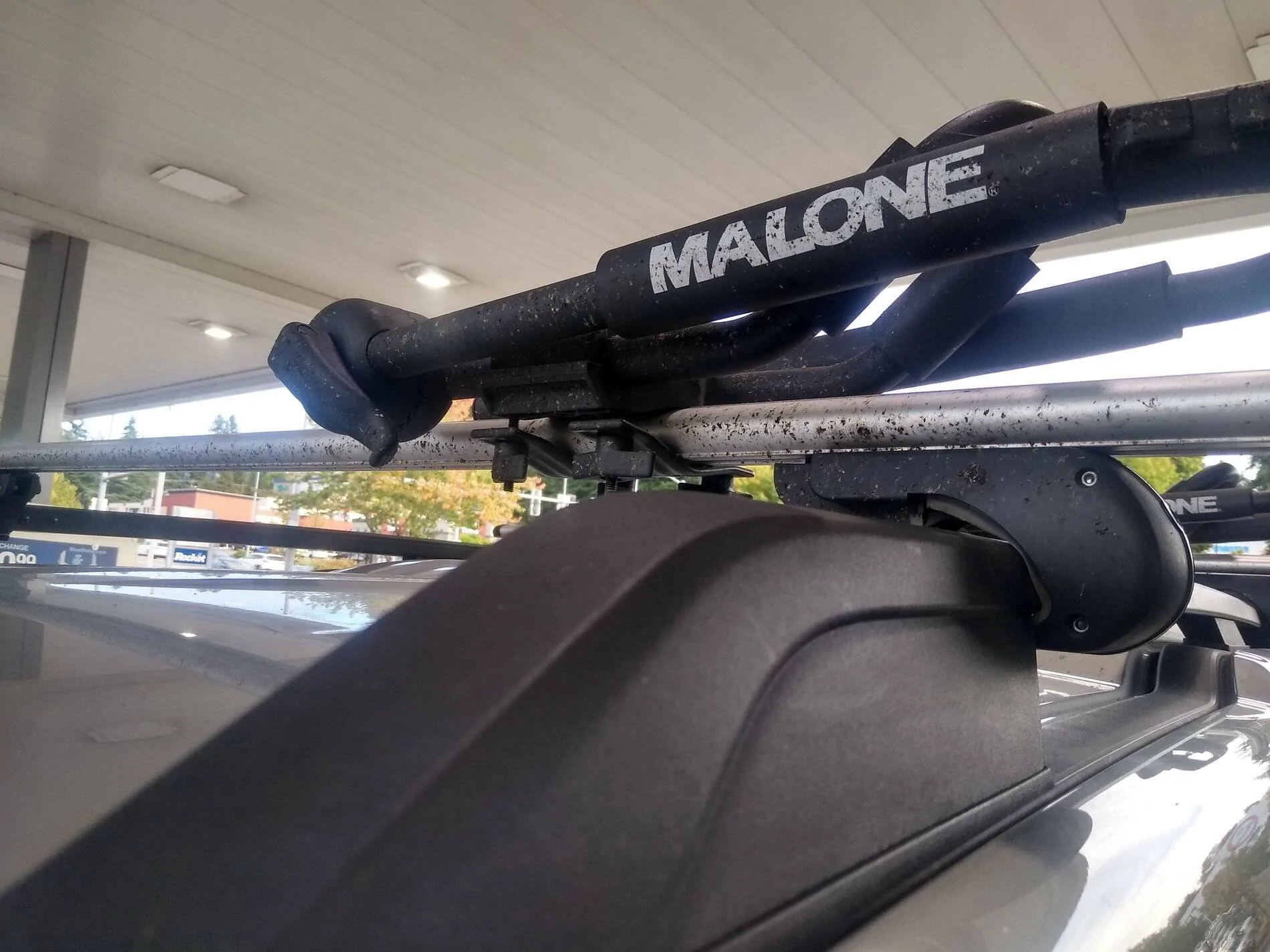 Ford Bronco Sport Lots of bugs on windshield due to hood design? IMG_20210908_163022326_HDR