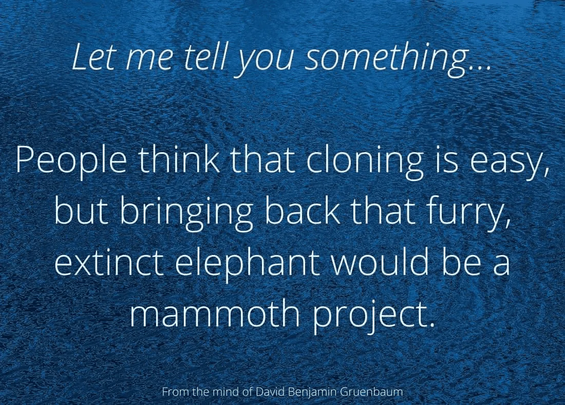 Ford Bronco Sport Long weekend: start the bad Dad Jokes — as my kids say 1653713255519