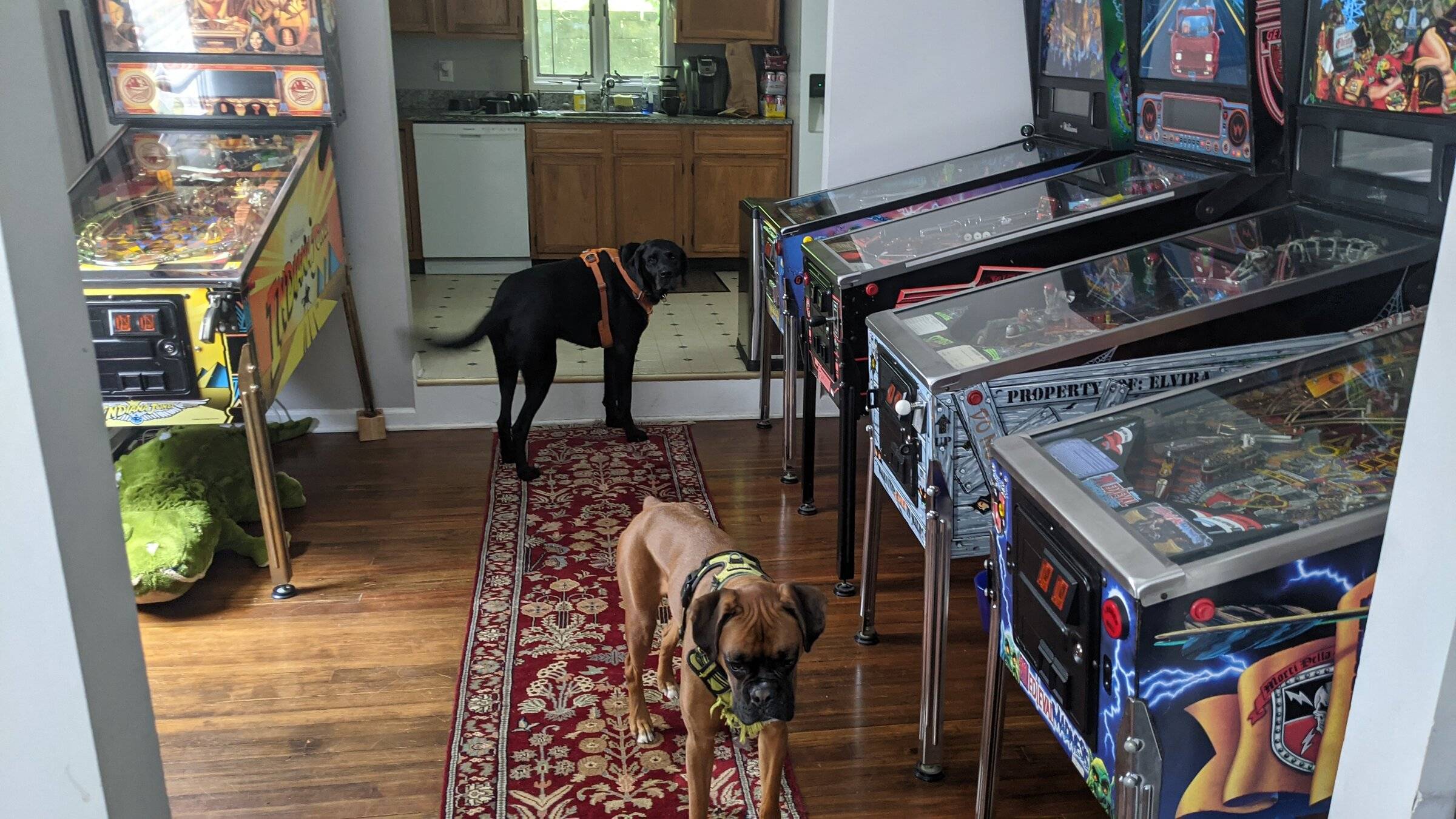 Ford Bronco Sport Long weekend: start the bad Dad Jokes — as my kids say PXL_20220528_172749553