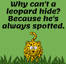 Ford Bronco Sport Long weekend: start the bad Dad Jokes — as my kids say 185AEEE5-31BA-4DEF-BB72-288CBF525623