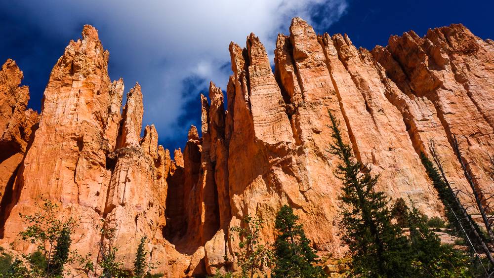 Ford Bronco Sport How to estimate actual delivery date? DSC01721