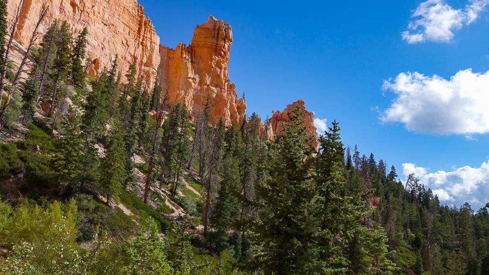 Ford Bronco Sport How to estimate actual delivery date? DSC01723