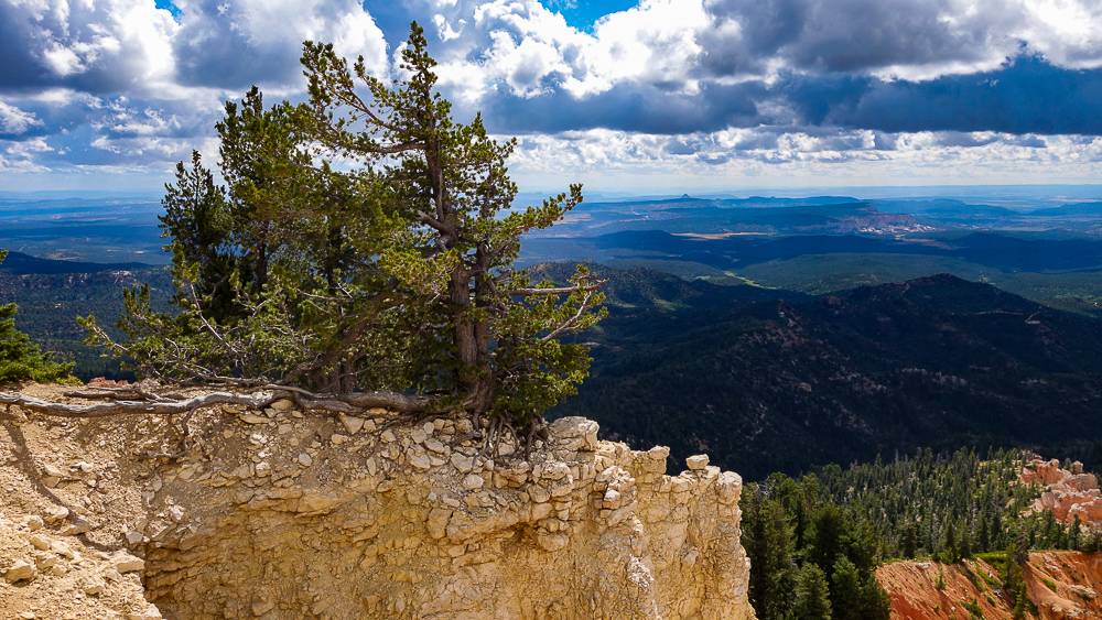 Ford Bronco Sport How to estimate actual delivery date? DSC01734