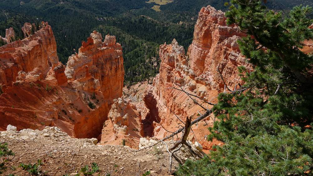 Ford Bronco Sport How to estimate actual delivery date? DSC01744