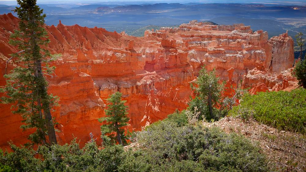 Ford Bronco Sport How to estimate actual delivery date? DSC01767