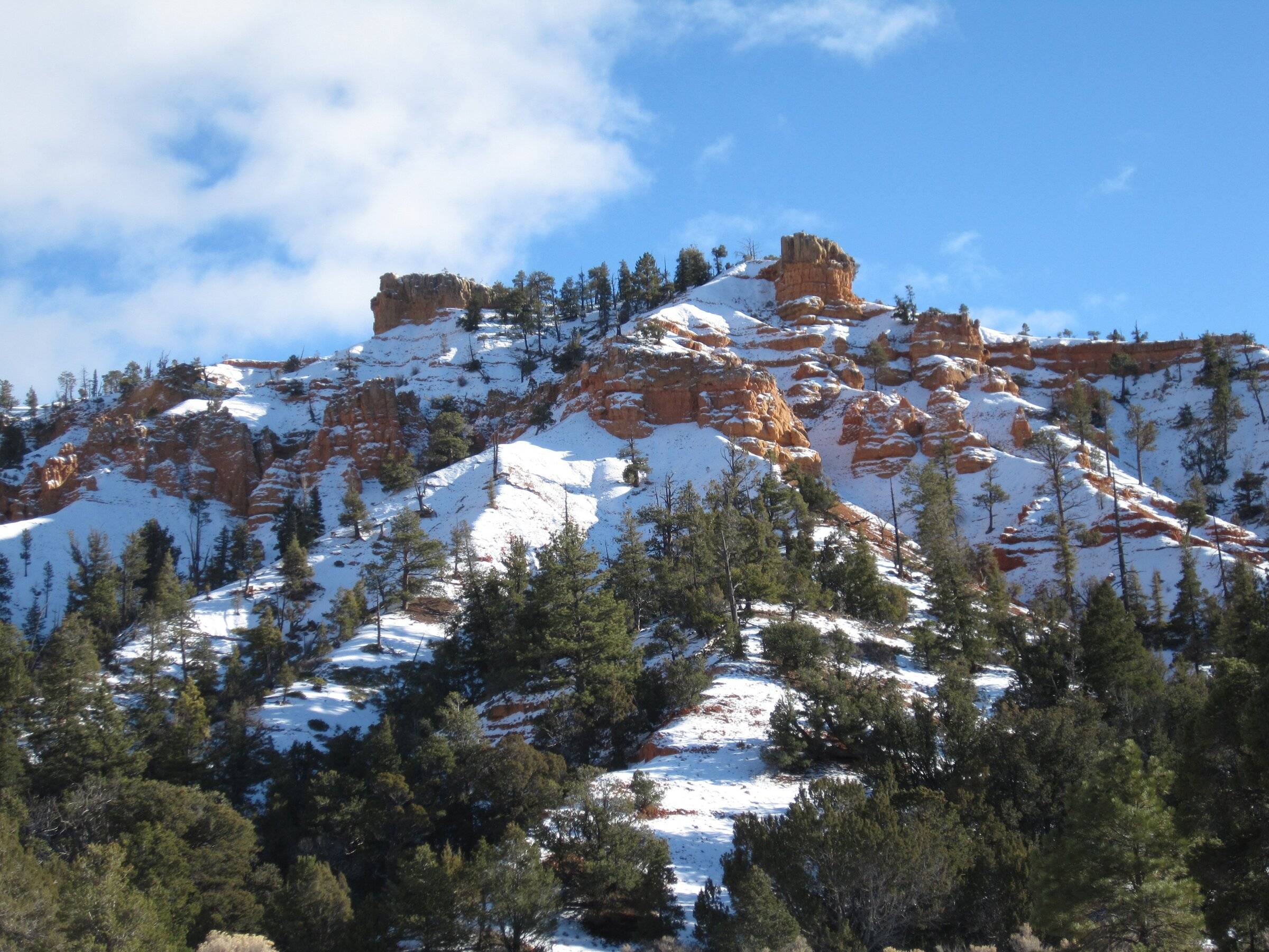 Ford Bronco Sport How to estimate actual delivery date? stelprdb5404239