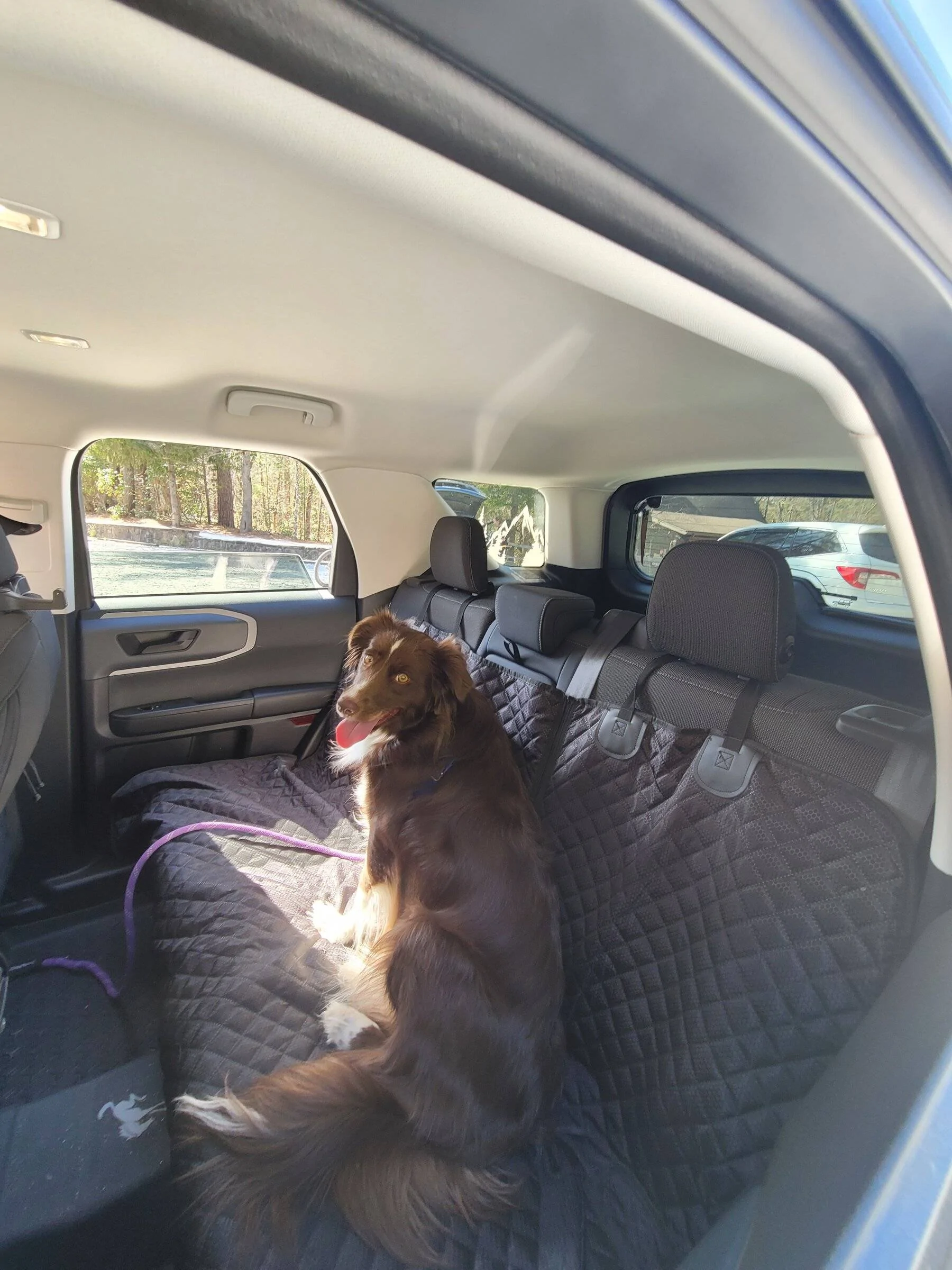 Ford Bronco Sport Goat control button cover 20220423_164409