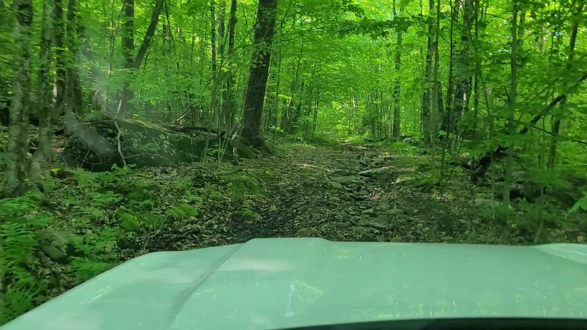 Ford Bronco Sport Off Road Expeditions VideoCapture_20220604-180150