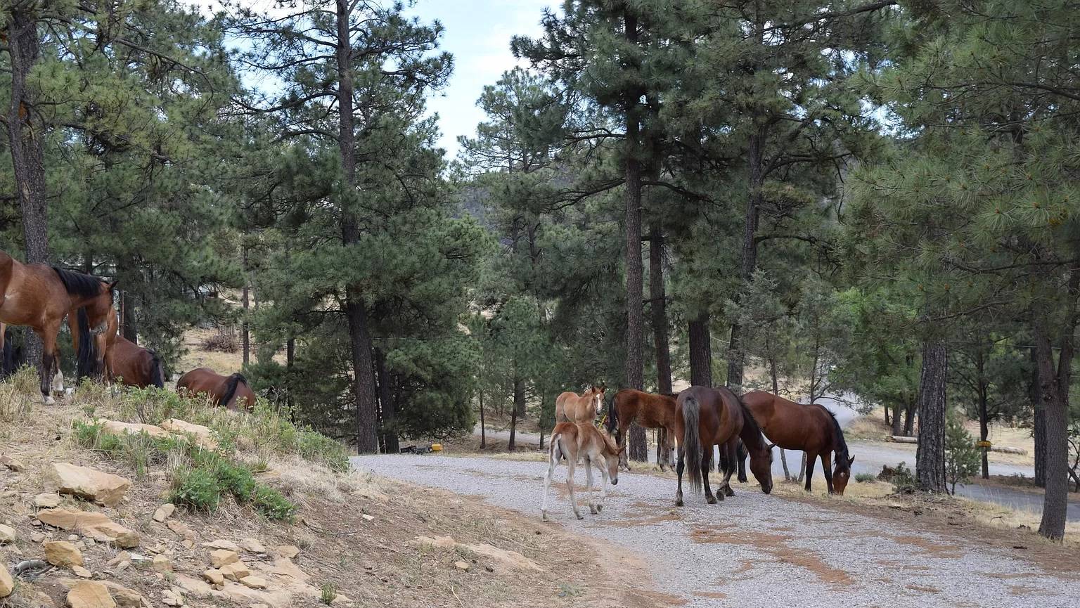 Ford Bronco Sport Bronco Parking Lot A.JPG