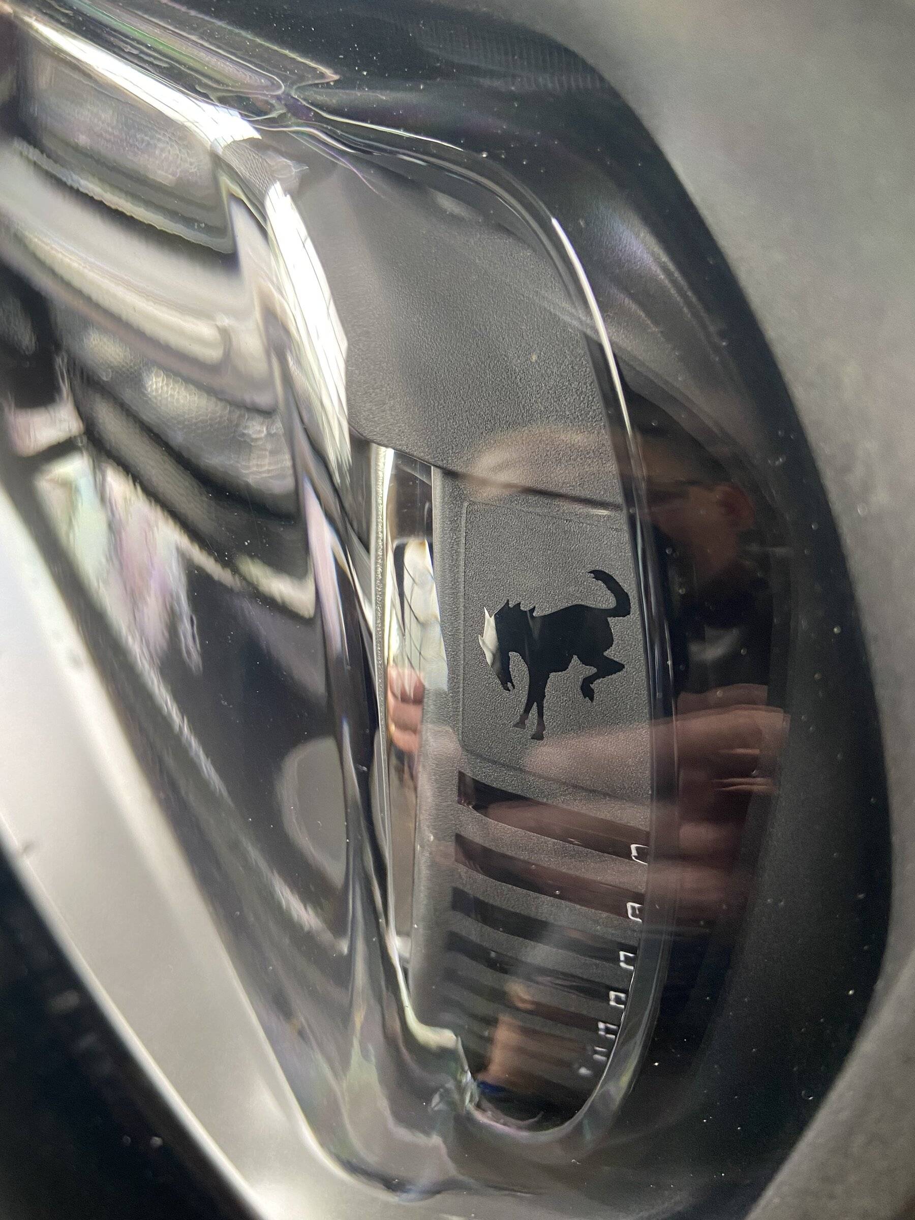 Ford Bronco Sport Prancing Horse Headlights !  (Bucking Bronco ) DC31A941-454E-49B7-8374-D2F16338CB4F