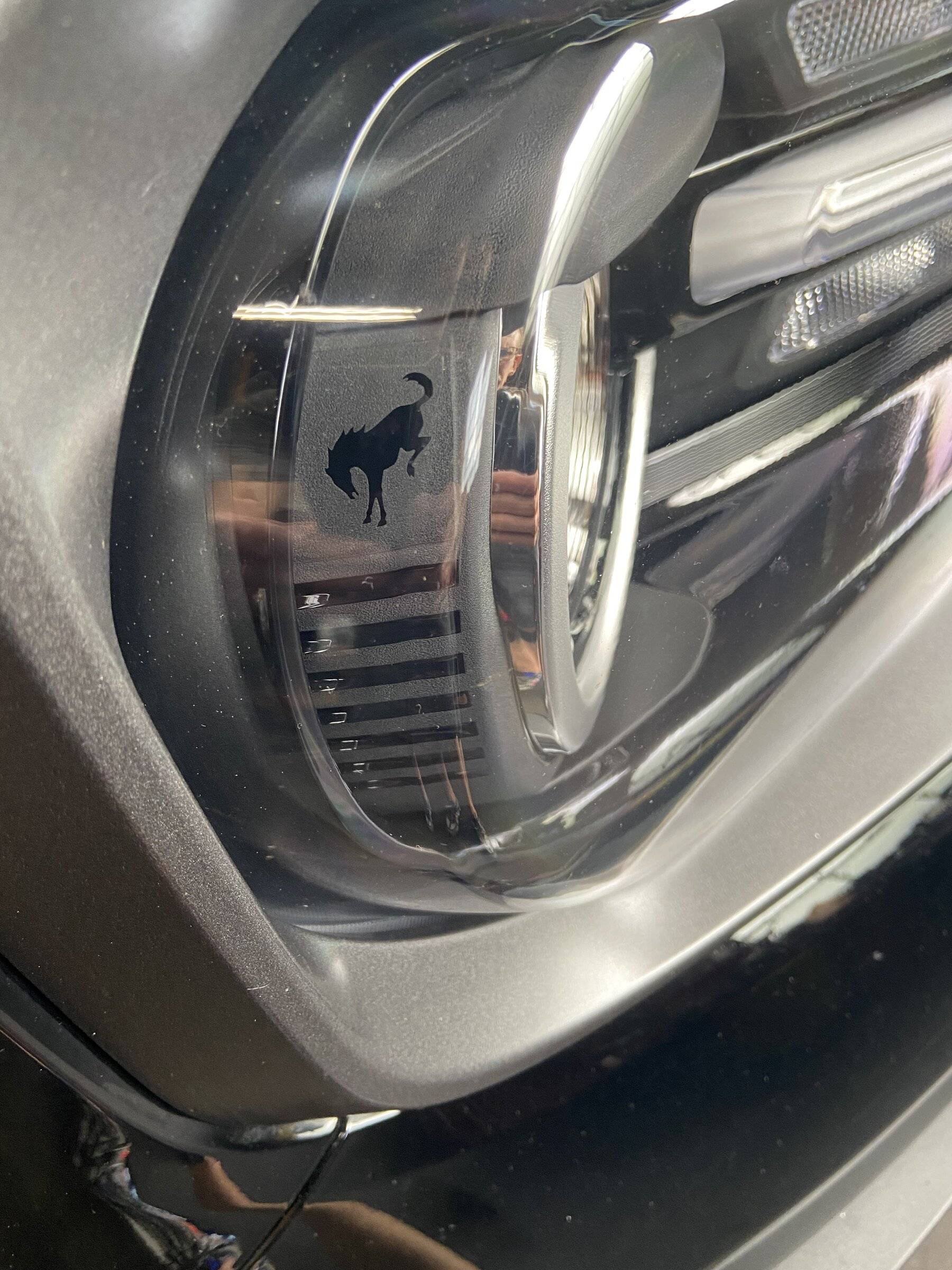 Ford Bronco Sport Prancing Horse Headlights !  (Bucking Bronco ) FC18D68E-C1BF-4F25-A5C7-65CD04025125